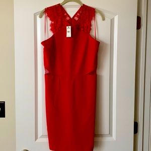 Express NWT red dress